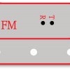 FM (6SCFM) FM modul