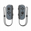 Joy-Con Strap Grey